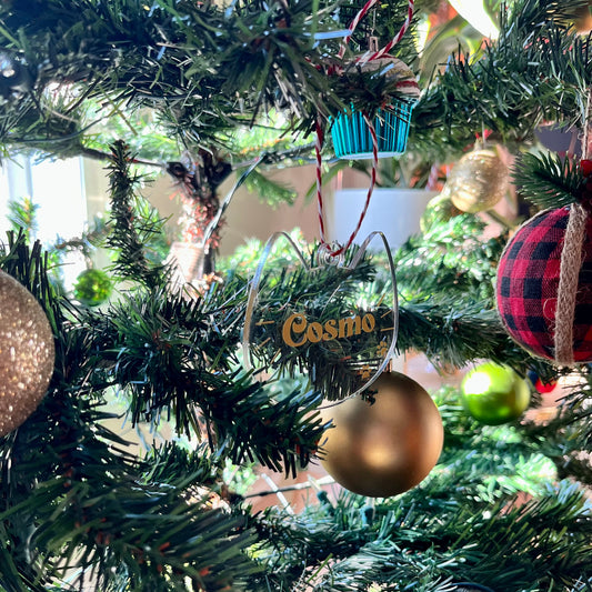 Custom Cat Face Ornament